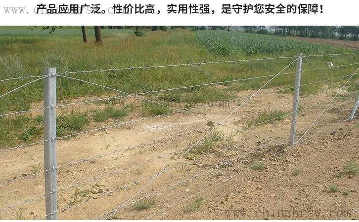 差别的刺绳立柱本钱 差别的刺绳立柱本钱